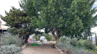 Rustic finca in San Francisco photo 18