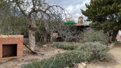 Rustic finca in San Francisco photo 21