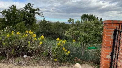 Rustic finca in San Francisco photo 31
