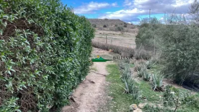 Rustic finca in San Francisco photo 36