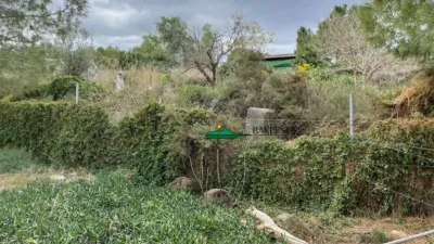 Rustic finca in San Francisco photo 47