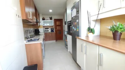 Apartment in Crevillent photo 11