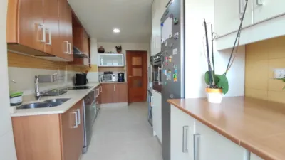 Apartment in Crevillent photo 9