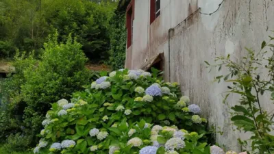 Piso – Coirós, Figueiras - Vista 4