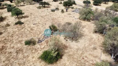 Finca rústica en venta en Carretera Palacio de Riofrio, Navas de Riofrío de 28.000 €