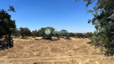 Finca rústica en venta en Carretera Palacio de Riofrio, Navas de Riofrío de 28.000 €
