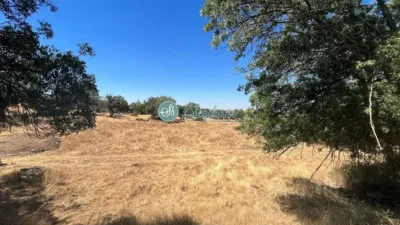 Finca rústica en venta en Carretera Palacio de Riofrio, Navas de Riofrío de 28.000 €