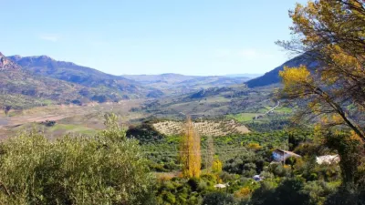 Finca rústica en venta en Calle Paco de Arriba, Número 0, Zahara de la Sierra de 580.000 €