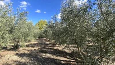 Chalet for sale in Calle de San Vicente photo 35