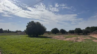 Terreno en venta en Crevillent - Vista 2