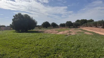 Terreno en venta en Crevillent - Vista 3