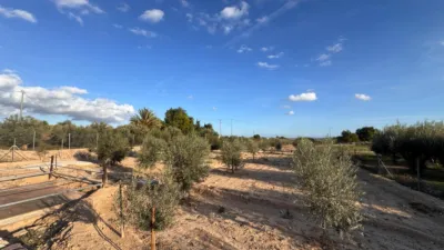 Chalet in Partida de Carga photo 26
