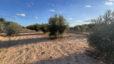 Chalet in Partida de Carga photo 27