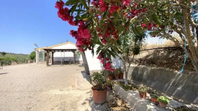 Chalet on Carretera Yecla Street photo 27