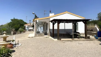 Chalet on Carretera Yecla Street photo 35