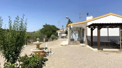 Chalet on Carretera Yecla Street photo 9