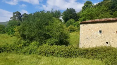 House in Ramales de La Victoria photo 4