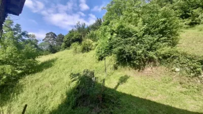 House in Ramales de La Victoria photo 7