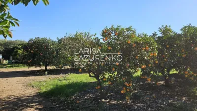 Rustic Finca in Vinyols I Els Arcs photo 58