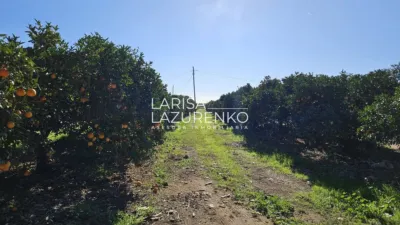Rustic Finca in Vinyols I Els Arcs photo 59