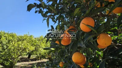 Rustic Finca in Vinyols I Els Arcs photo 60