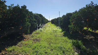 Rustic Finca in Vinyols I Els Arcs photo 61