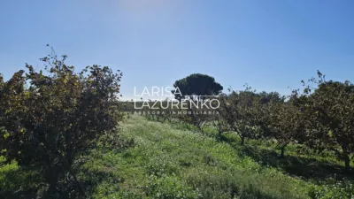 Rustic Finca in Vinyols I Els Arcs photo 62