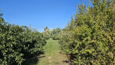Rustic Finca in Vinyols I Els Arcs photo 64