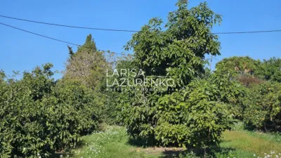 Rustic Finca in Vinyols I Els Arcs photo 65