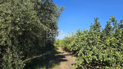 Rustic Finca in Vinyols I Els Arcs photo 66