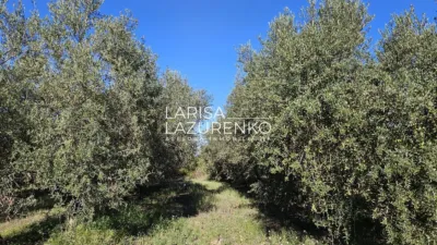 Rustic Finca in Vinyols I Els Arcs photo 67