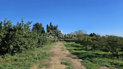 Rustic Finca in Vinyols I Els Arcs photo 69