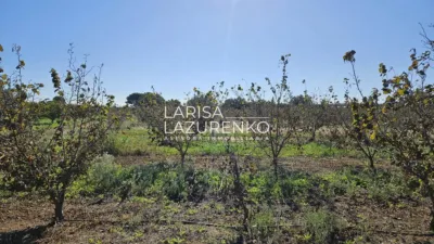Rustic Finca in Vinyols I Els Arcs photo 70