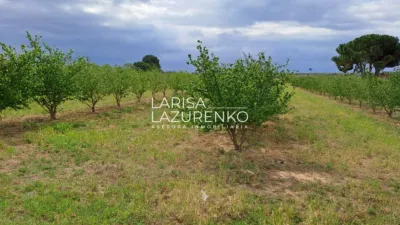 Rustic Finca in Vinyols I Els Arcs photo 72