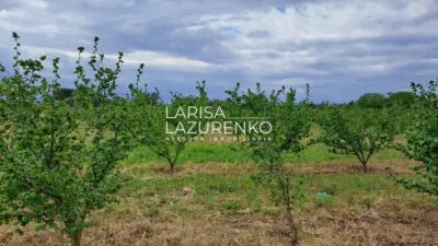 Rustic Finca in Vinyols I Els Arcs photo 73