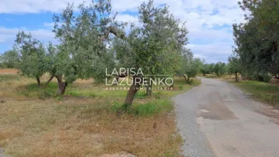 Rustic Finca in Vinyols I Els Arcs photo 75