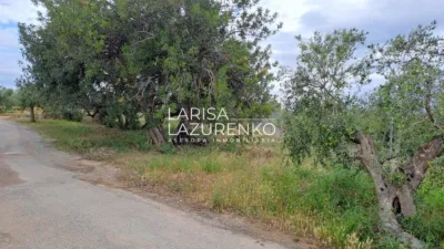 Rustic Finca in Vinyols I Els Arcs photo 76
