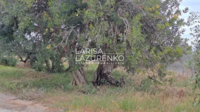 Rustic Finca in Vinyols I Els Arcs photo 77