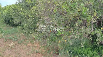 Rustic Finca in Vinyols I Els Arcs photo 80