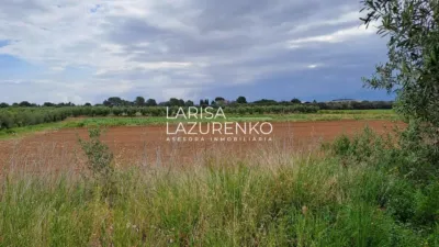 Rustic Finca in Vinyols I Els Arcs photo 82