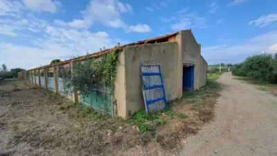 Rustic Finca in Vila-Seca photo 4