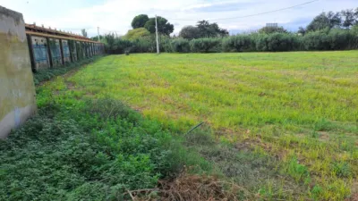 Rustic Finca in Vila-Seca photo 7