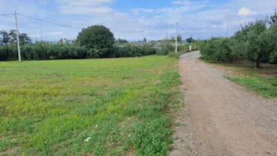 Rustic Finca in Vila-Seca photo 9
