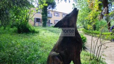 Rustic Finca on Castiñeiras Street photo 25