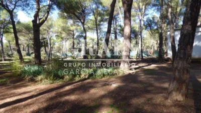 Chalet in Pinares del Jucar photo 48