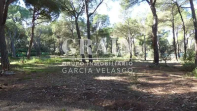Chalet in Pinares del Jucar photo 54