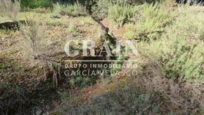 Chalet in Pinares del Jucar photo 56