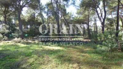 Chalet in Pinares del Jucar photo 59