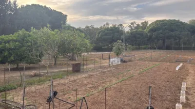 Rustic Finca in the Surroundings photo 31