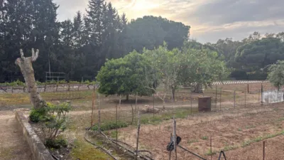 Rustic Finca in the Surroundings photo 32